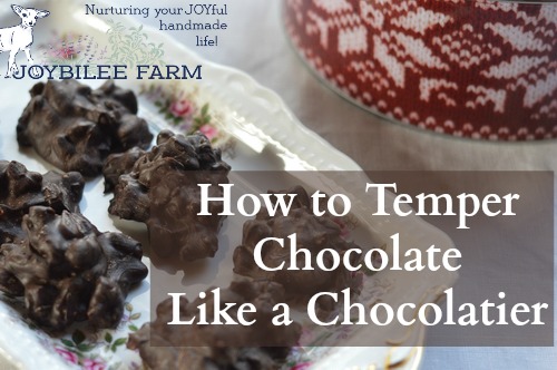 https://joybileefarm.com/wp-content/uploads/2016/11/How-to-Temper-Chocolate-Like-a-Chocolatier-feature.jpg