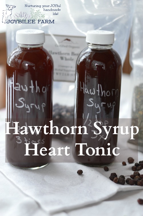 Hawthorn heart tonic