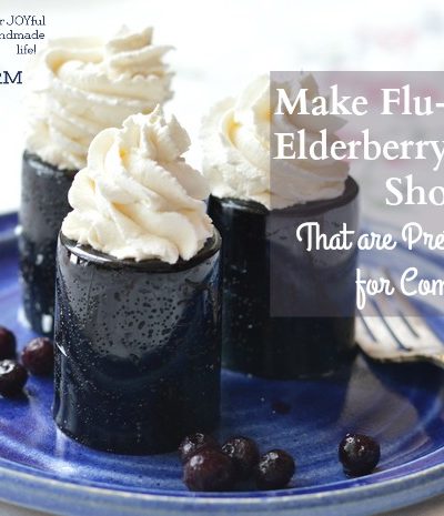 Make Flu Busting Elderberry Gelatin Shots - Joybilee Farm