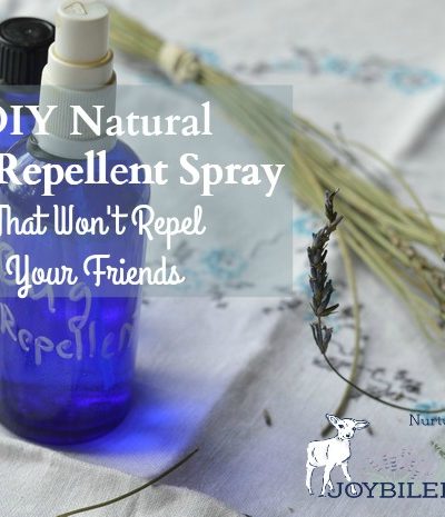 This bug repellent spray protects against biting flies, mosquitoes, ticks, midges, and black flies. However, note that each essential oil chosen for this blend is not 100% effective for all insect pests. It’s the synergistic blend that covers you against blood sucking insects.