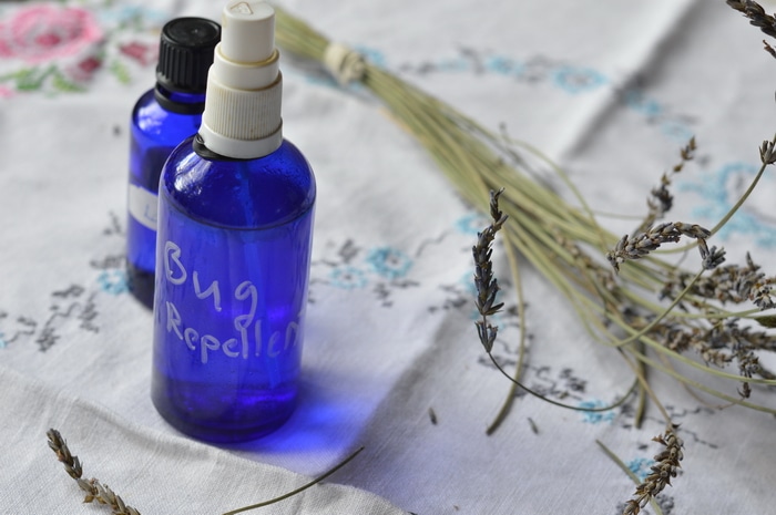 what essential oil repels black flies