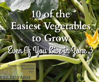 Even in zone 3 it’s possible to grow a substantial amount of your own food, especially if you plant the easiest vegetables to grow. The season is shorter. If you live in the mountains you might not get the heat units necessary for corn, squash, or pumpkin. But you can definitely get a harvest with these ten easy to grow vegetables.