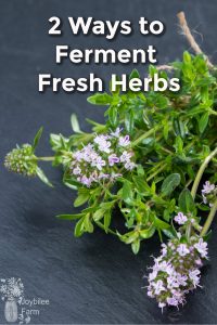 Fresh herbs on a slate board