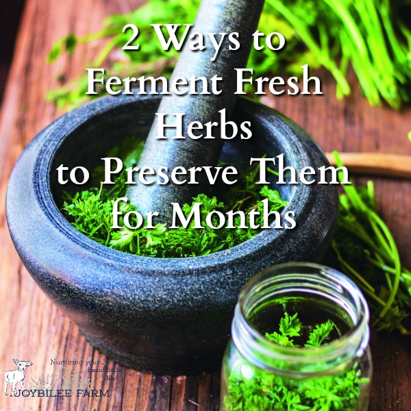 Fermented Fresh Herbs Preserve the Intense Flavor While Adding Probiotics