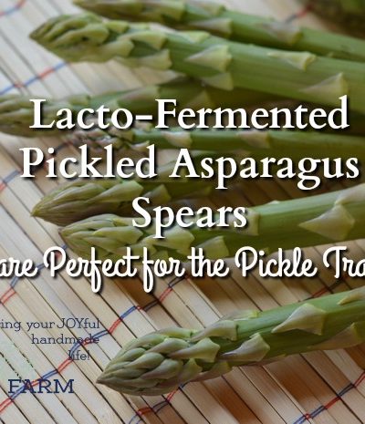 This recipe will give you tangy pickled asparagus with a crunch. Crunchy, lacto-fermented asparagus is a better filling for fancy tea sandwiches and a nicer addition to the pickle tray. This is what asparagus was made for.