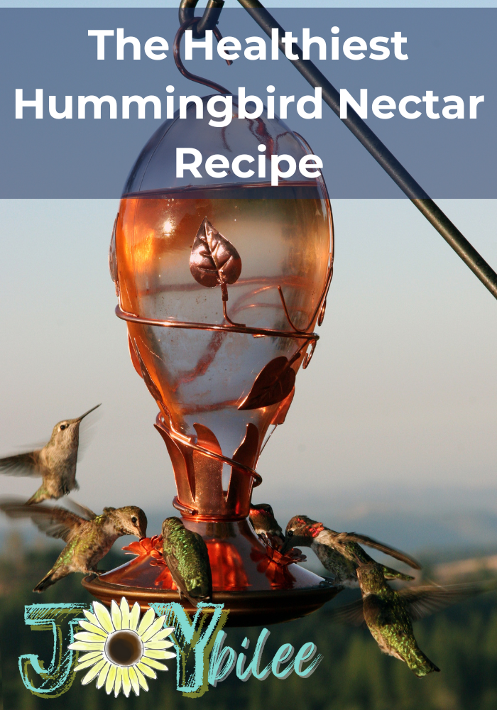 Keep the hummingbirds coming back year after year with this healthy hummingbird nectar recipe.