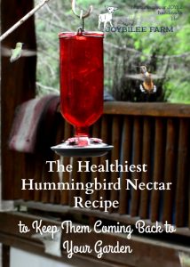 recipe for homemade hummingbird nectar with sugar