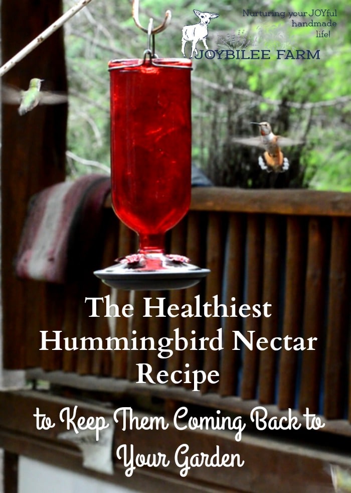 The Healthiest Hummingbird Nectar Recipe So They'll Come Back Next Year