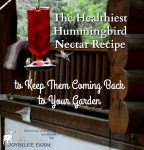 The Healthiest Hummingbird Nectar Recipe