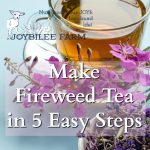 Make Fireweed Tea in 5 Easy Steps