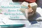 Healthy Marshmallows Made Better For Back-to-School