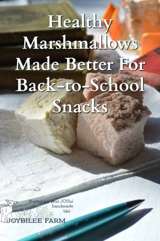 Healthy Marshmallows Made Better for BackToSchool Snacks