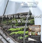 5 Tips to Grow Food in Winter, Even If You Live in Zone 4