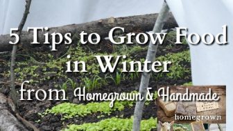 5 Tips to Grow Food in Winter, Even If You Live in Zone 4