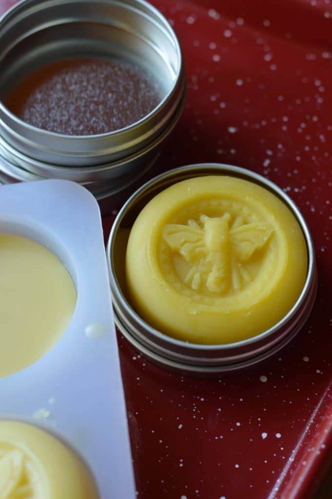 DandeLion balm in a tin
