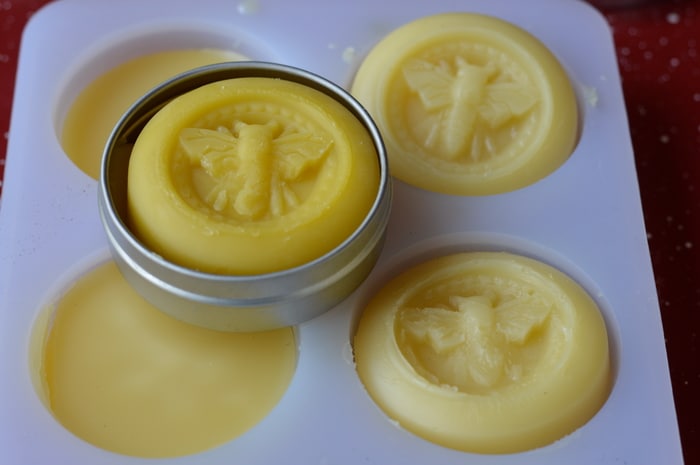 DandeLion balm is skin nourishing and useful for easing sore muscles, chapped skin, joint pain, headache, chest congestion, and other common complaints. Dandelion balm is nourishing and protective. You need this Lion Balm in your home apothecary to roar against pain and inflammation.