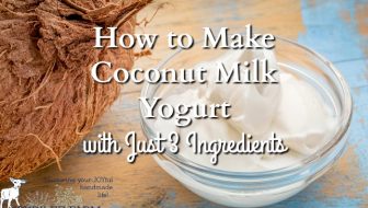 How to Make Coconut Milk Yogurt with Just 3 Ingredients