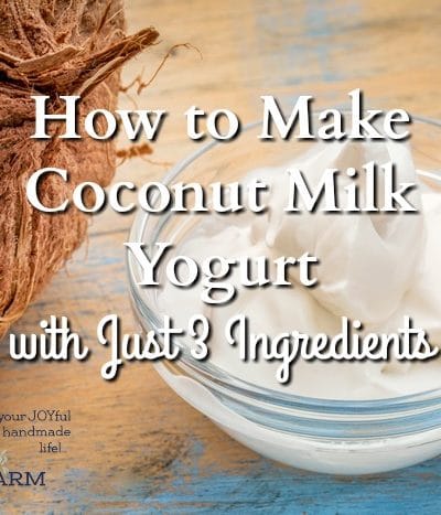 Coconut milk yogurt is a viable alternative yogurt made suitable for dairy-free, gluten-free, paleo, and GAPS special diets. It's easy to make at home with just 3 ingredients.