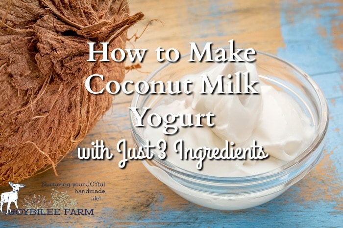 How to Make Coconut Milk Yogurt with Just 3 Ingredients | DIY Herbs with Joybilee Farm