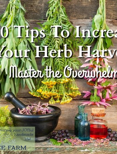 Here's a few tips to help you make the most of the herb harvest, before it's too late.