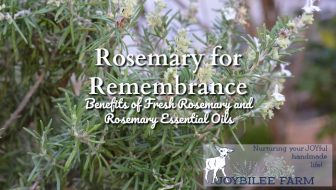 Rosemary for Remembrance, The Benefits of Fresh Rosemary and Rosemary Essential Oils