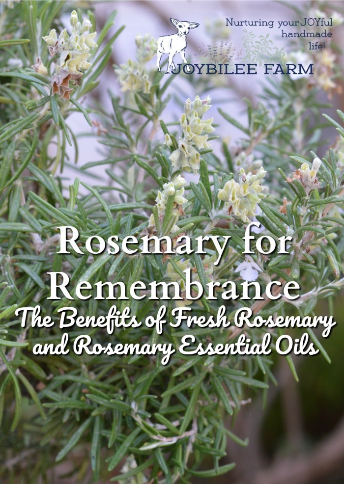 Rosemary Benefits for Memory, Digestion, and So Much More