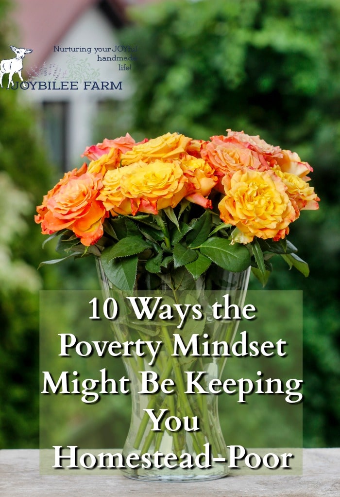 10-ways-the-poverty-mindset-might-be-keeping-you-homestead-poor