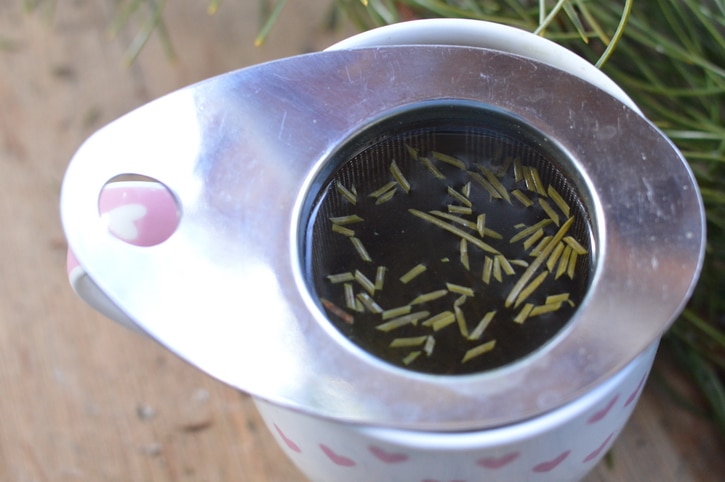 El té de agujas de pino tiene cantidades significativas de vitamina C, vitamina A y flavoniodes que lo convierten en una bebida tónica con sabor a cítrico para forzar el invierno.