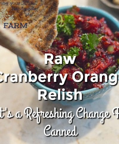 Cranberry orange relish with naan bread