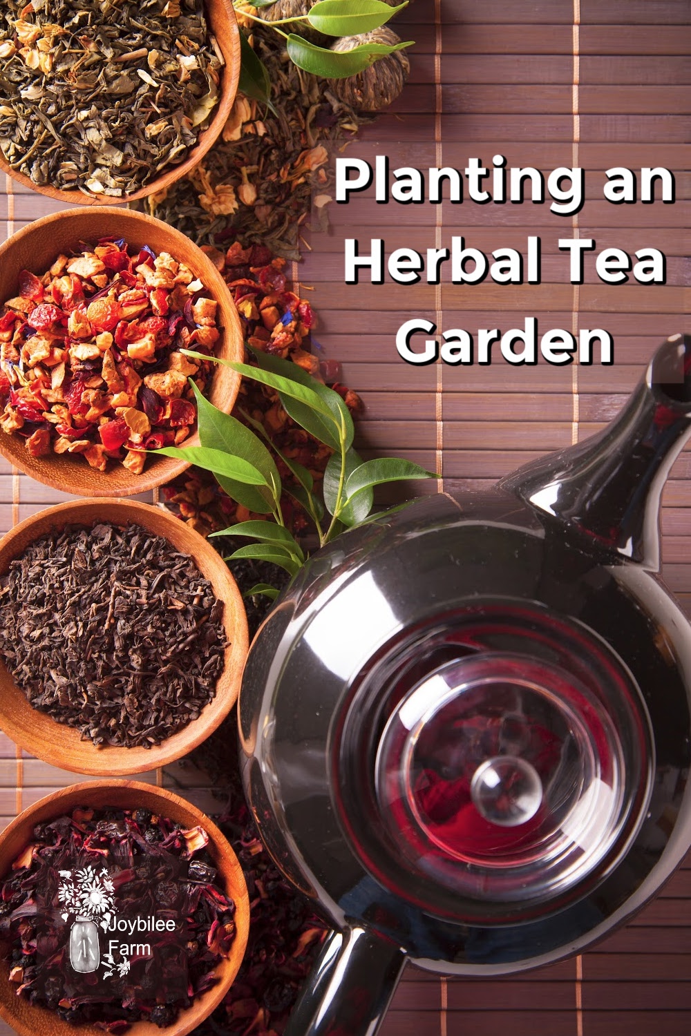 Planting an Herbal Tea Garden that Thrives in Zone 3