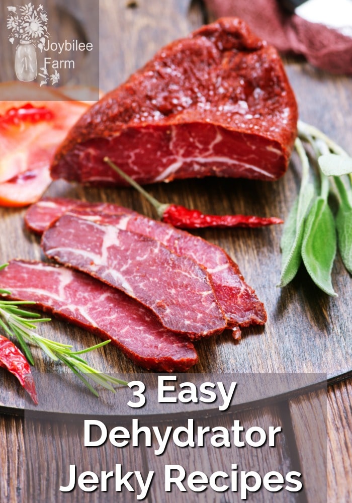 3 Easy Dehydrator Jerky Recipes for Summer Hikes and Car Trips