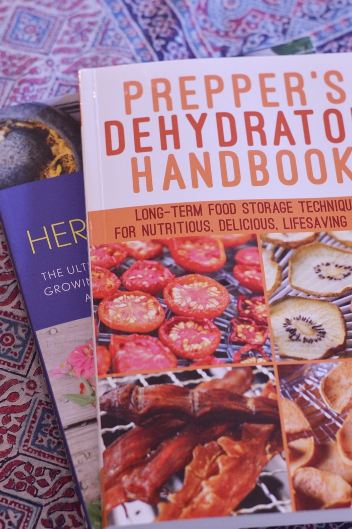 3 Easy Dehydrator Jerky Recipes for Summer Hikes and Car Trips