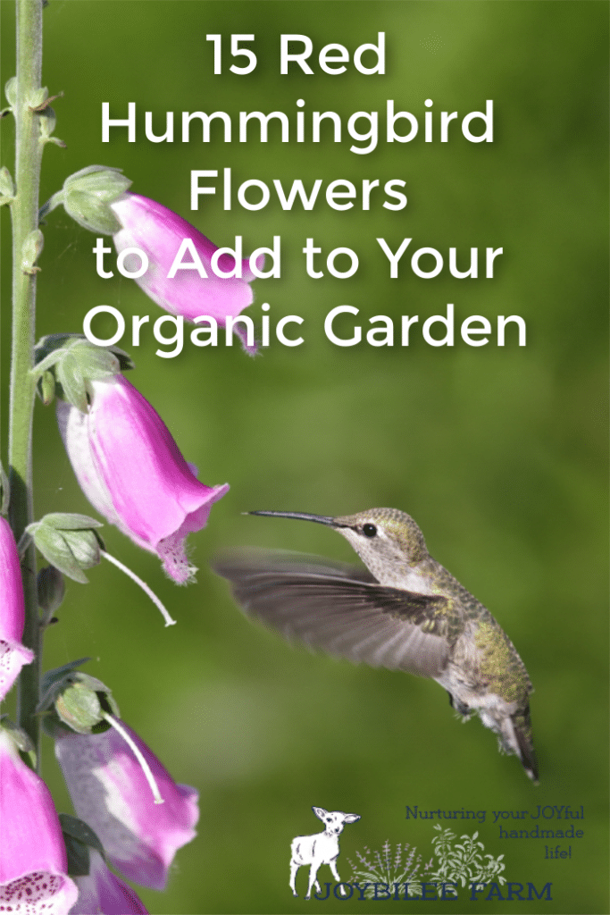 15 Red Hummingbird Flowers To Add To Your Organic Garden
