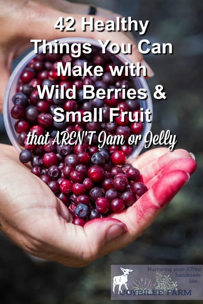 Huckleberries and wild berries