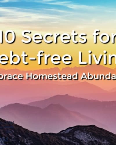 Debt free living is a lifestyle is full of homestead abundance. Take action to become debt-free, flip the switch in your mind and begin to see abundance in your life. 