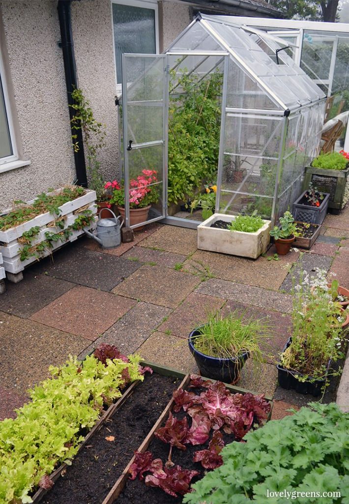 7 Creative Herb Garden Ideas for Growing Herbs in Containers Joybilee