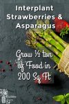 Strawberries & Asparagus on slate