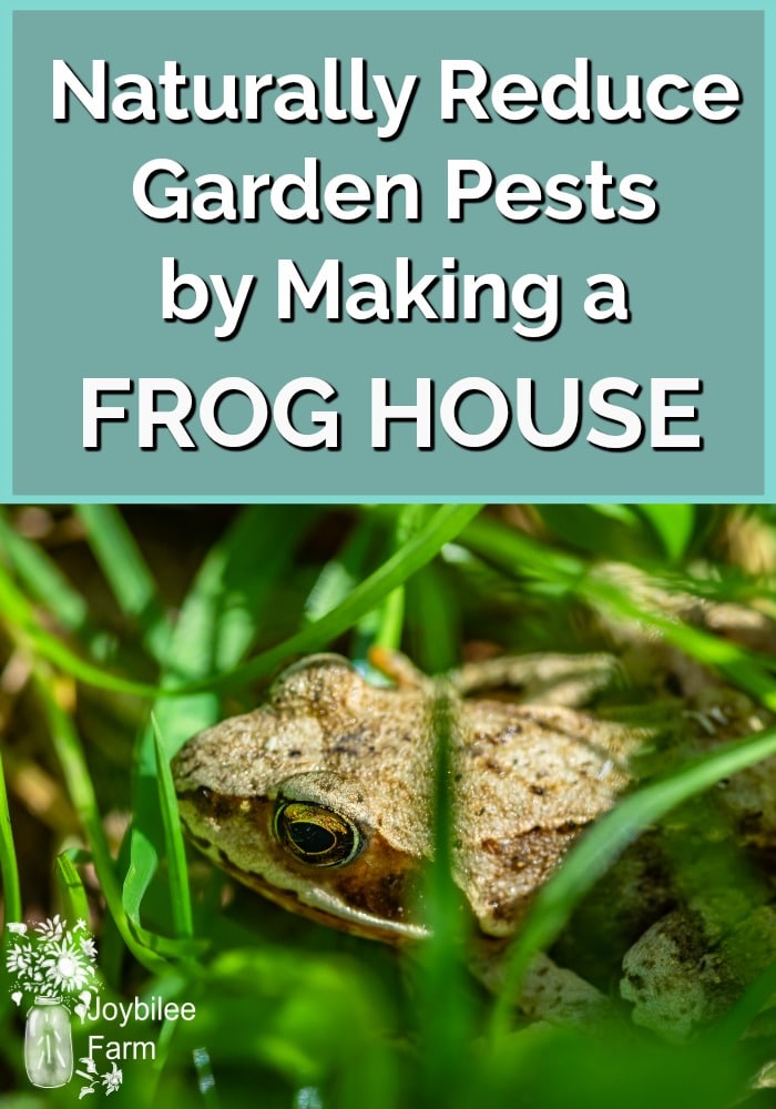 naturally-reduce-garden-pests-by-making-a-frog-house-for-your-garden-joybilee-farm-diy