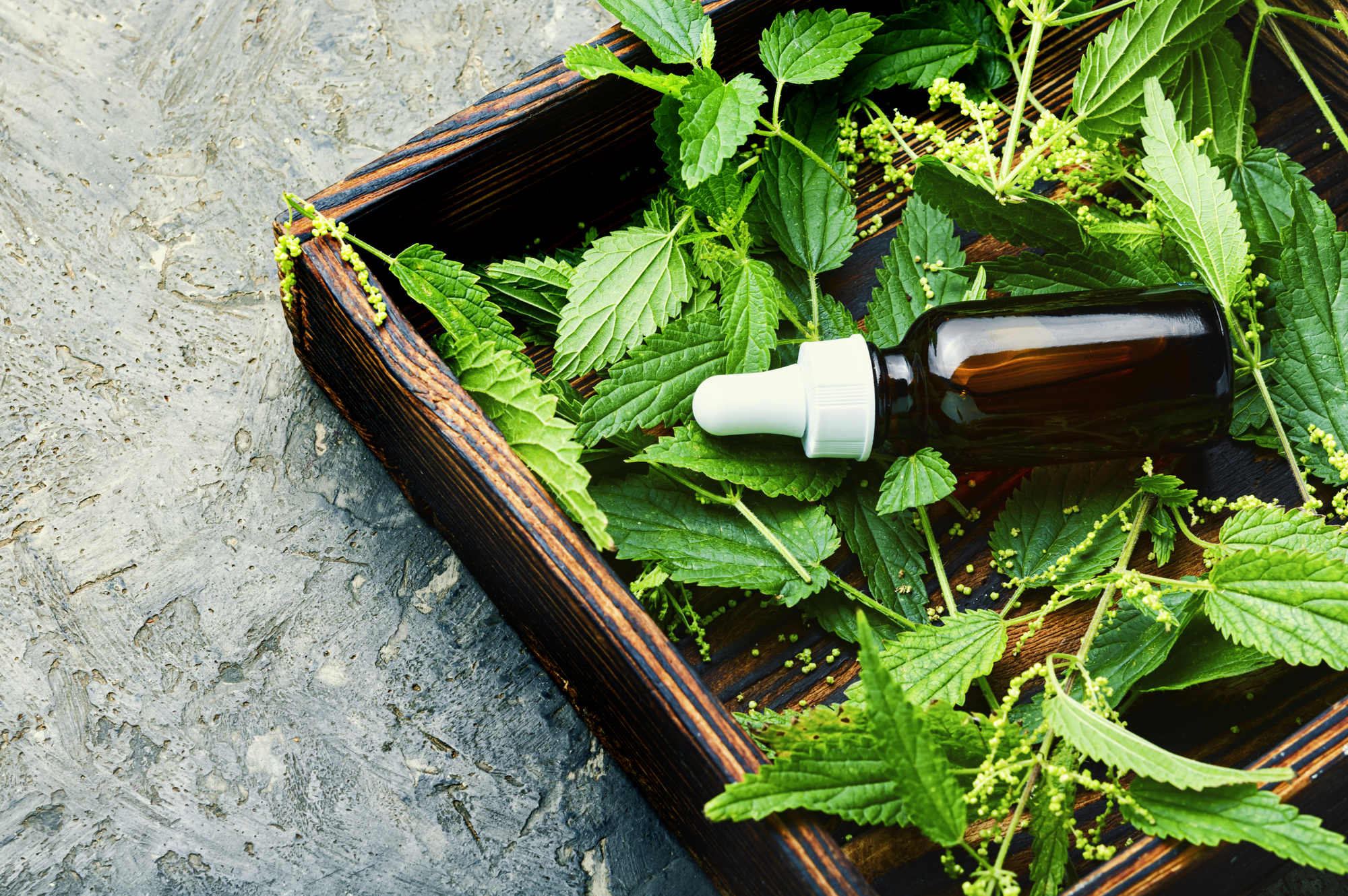 Nettle Tea: 4 Health Benefits, How to Make Your Own, and a Warning