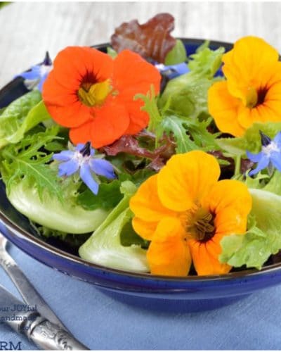 15 ways to use edible flowers