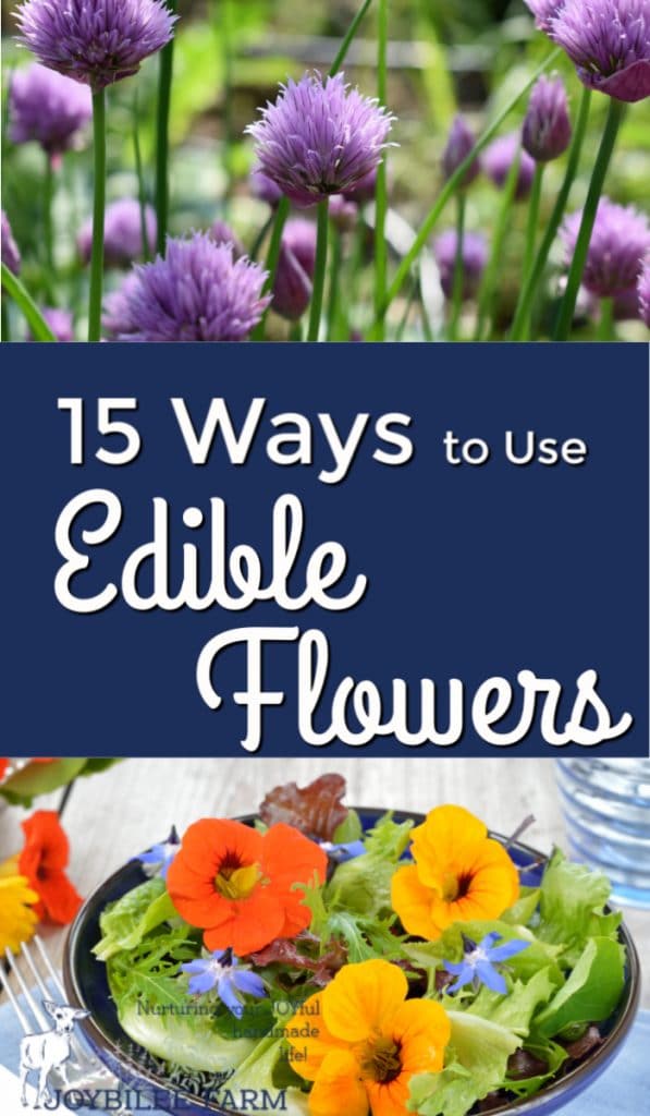 15 Things to Make with Edible Flowers Joybilee® Farm DIY Herbs Gardening