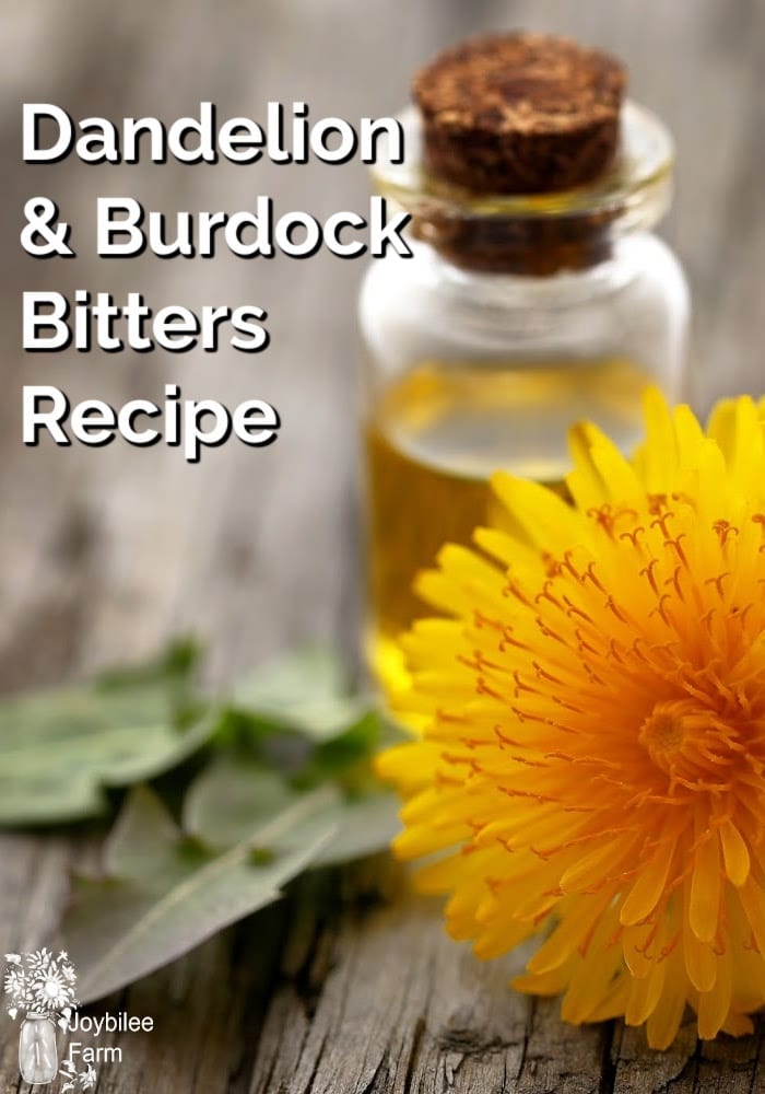 Dandelion Burdock Bitters Recipe for Better Health and Tastier