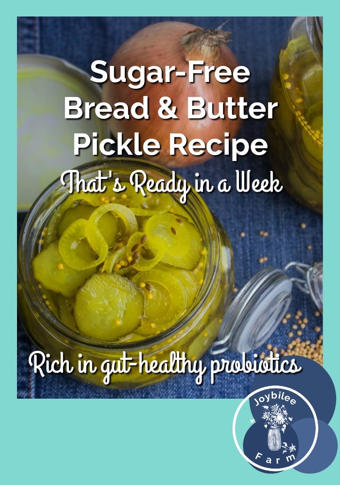Probiotic Sweet Pickle Recipe Bryont Blog