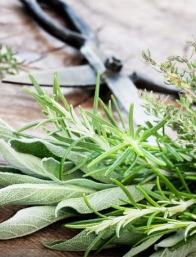 herbs to make all-purpose cleaner