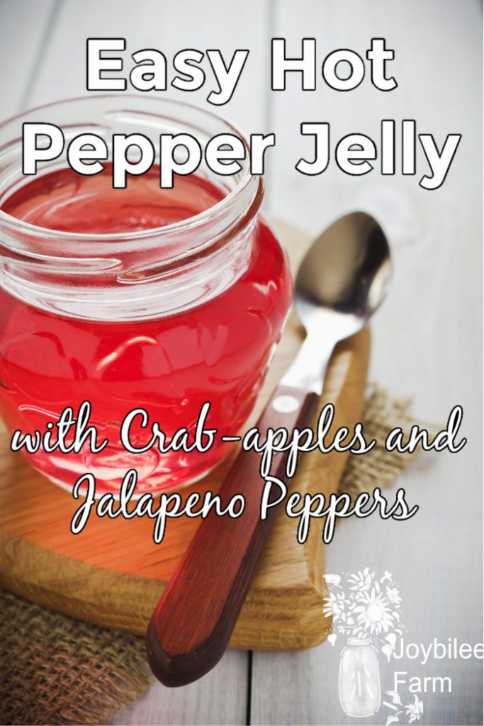 Easy Hot Pepper Jelly with Crab-apples and Jalapeno Peppers