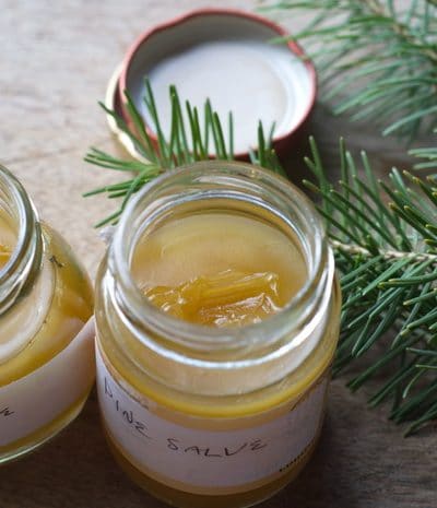 Make pine salve from local trees. It is a traditional drawing salve, that draws infections, slivers, and inflammation out of the body. Pine salve reduces pain and swelling, helping the body heal itself.