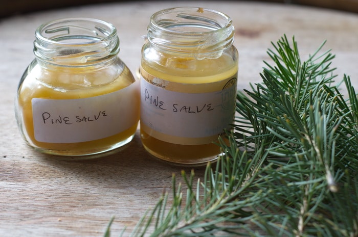 pine salve