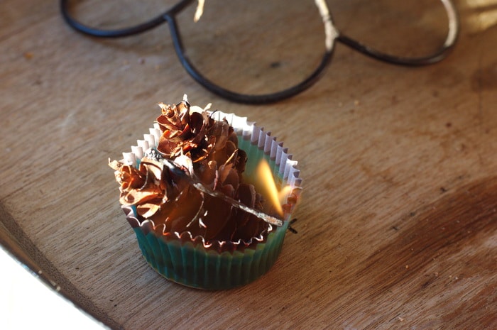 Pine Cone Fire Starters For Easier Wood Fires On Cold Mornings