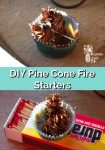 Homemade pine cone fire starters