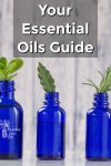 Essential oil bottles with fresh herbs sticking out